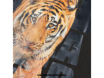 Onitsuka Tiger ropa 4P8D6N430 gris oscuro hombres camiseta gráfica - Image 4