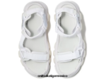Onitsuka Tiger zapatos 4P8D6N225 blanco unisexo correa dentífrica - Image 4