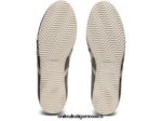 Onitsuka Tiger zapatos 4P8D6N298 plata pura/blanco unisexo tai-chi-nm - Image 5